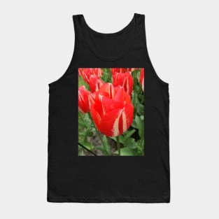 Red, in all its glory Tank Top